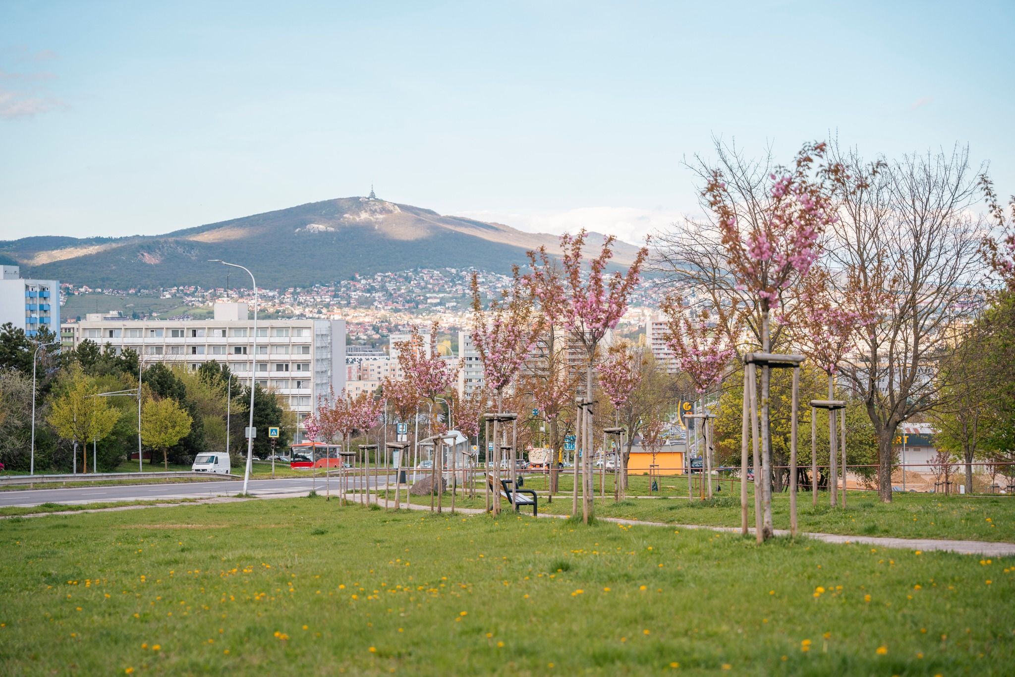 Zdroj: Facebook/ Mesto Nitra
