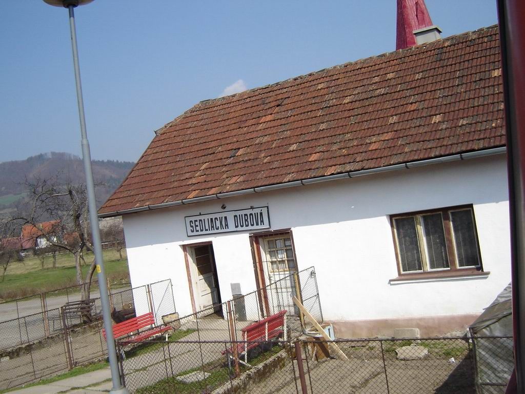 016659.jpg