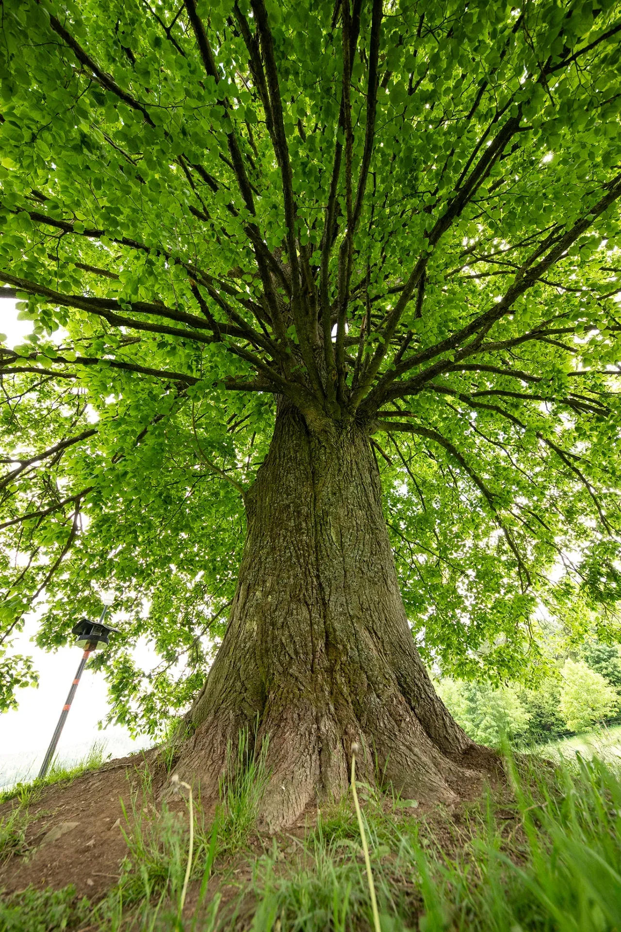 01-IMG_2767.webp