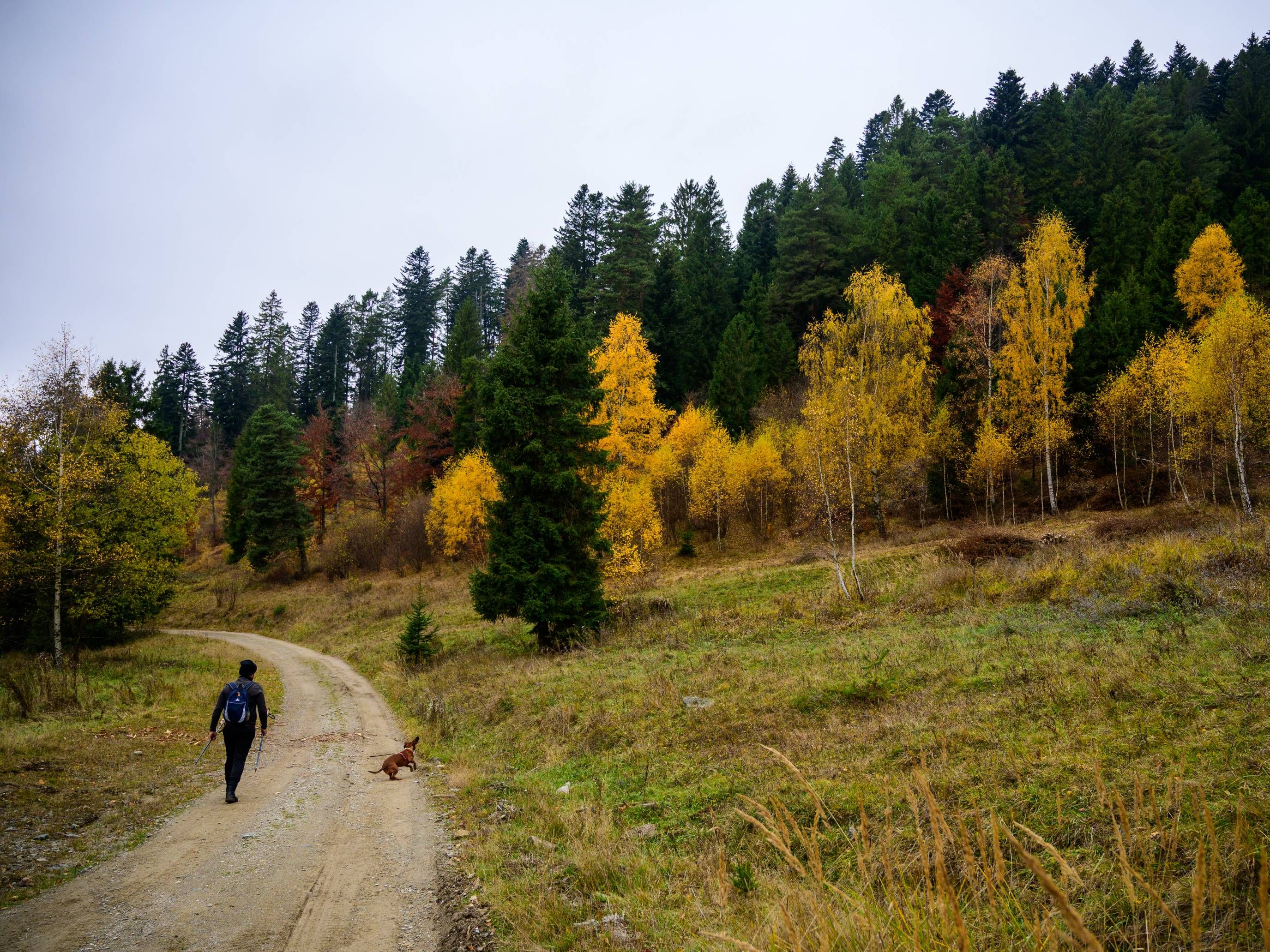 2025_10_30_SmrekovicaBranisko_06171181 (1).jpg