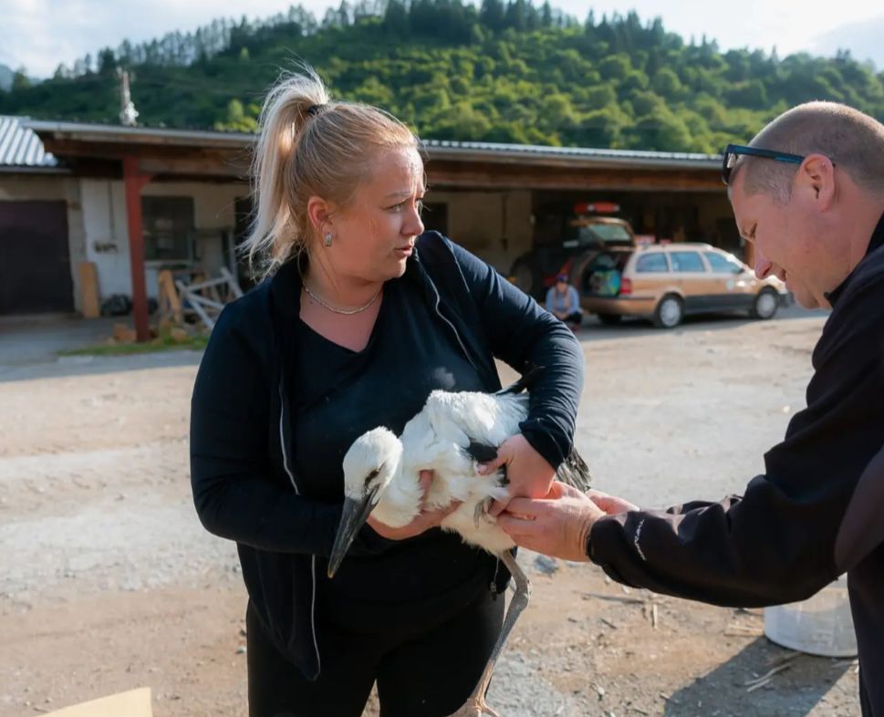 2026-04-04 11_58_56-Greenshot.jpg