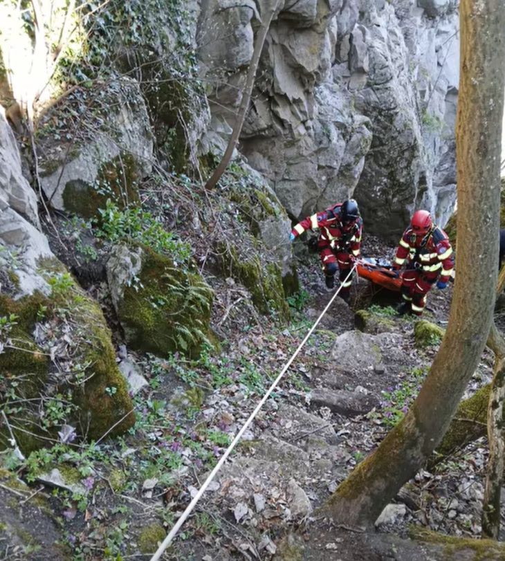 2026-04-08 08_02_17-Greenshot.jpg