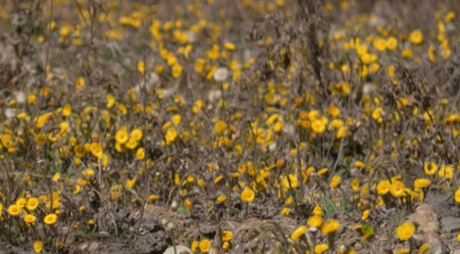 2026-04-09 08_58_47-Greenshot.jpg