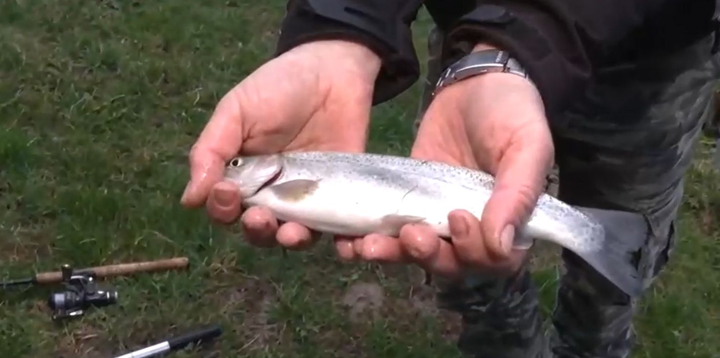 2026-04-18 09_18_30-Greenshot.jpg