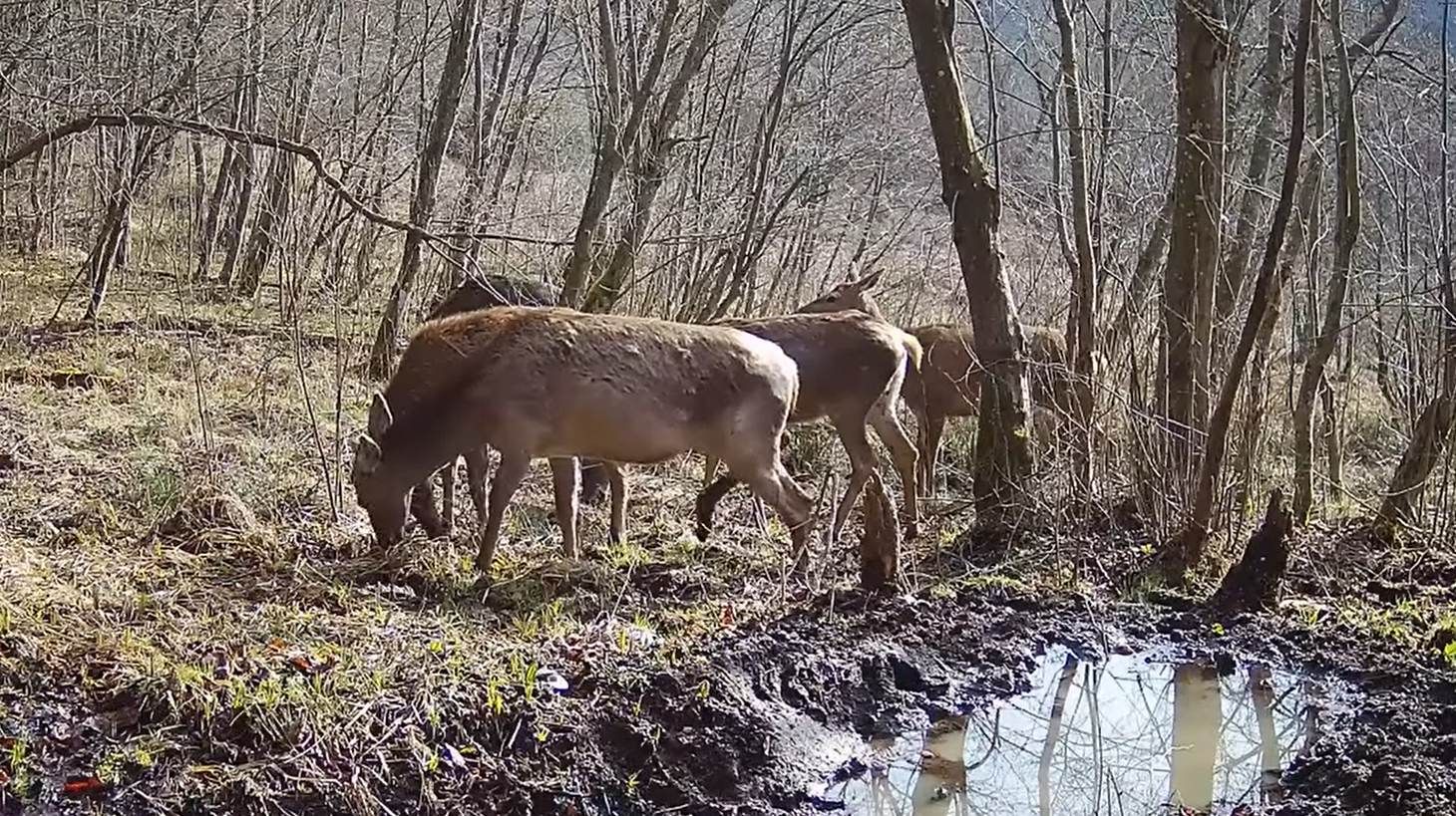 2026-04-27 12_11_35-Greenshot.jpg