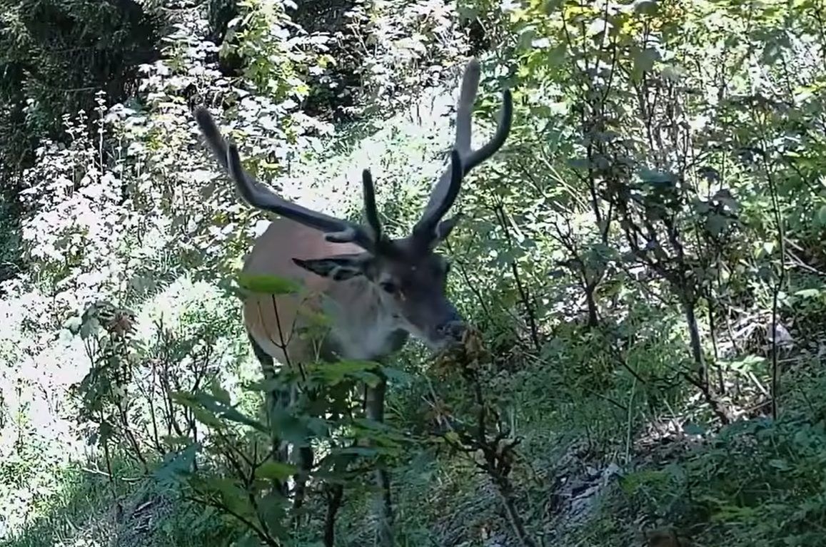 2026-08-23 13_52_02-Greenshot.jpg