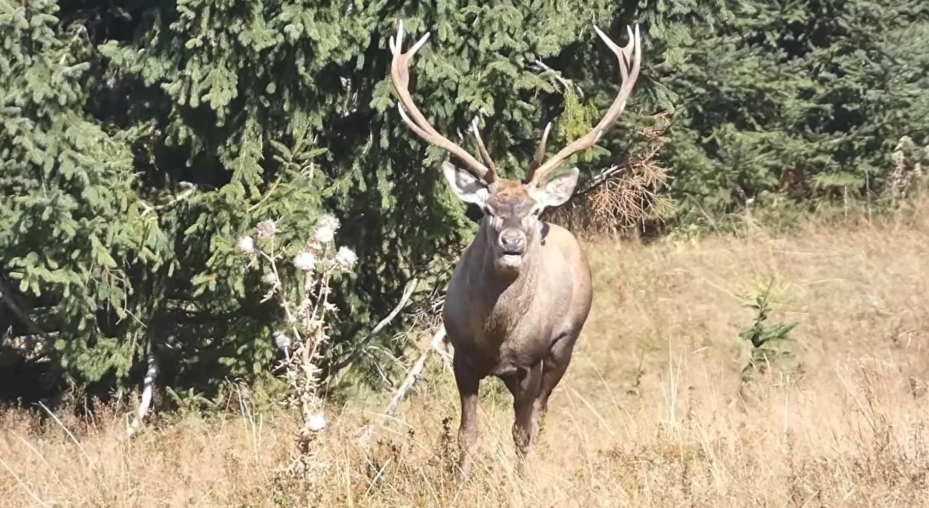 2026-09-24 11_00_28-Greenshot.jpg