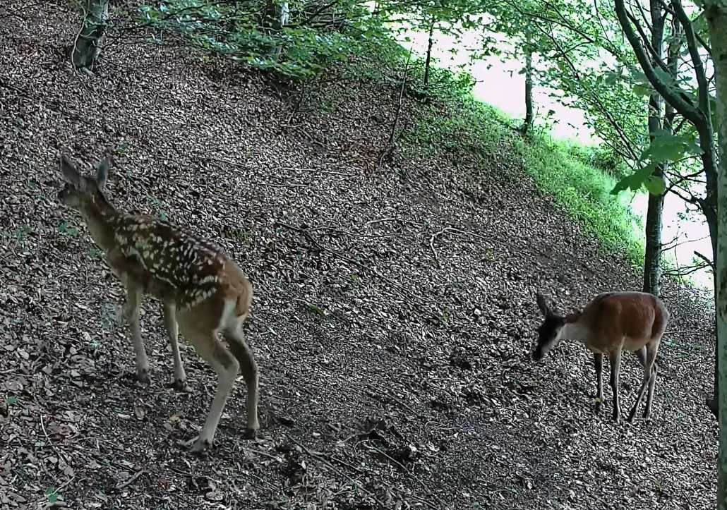 2026-10-26 08_59_25-Greenshot.jpg