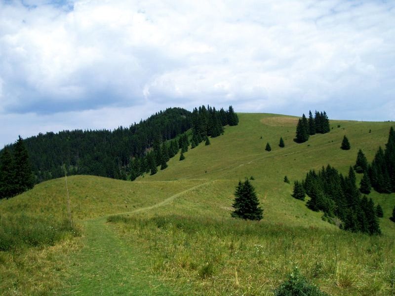 2418_ruzomberok_smrekovica_podsucha_007-1_1616761158.jpg