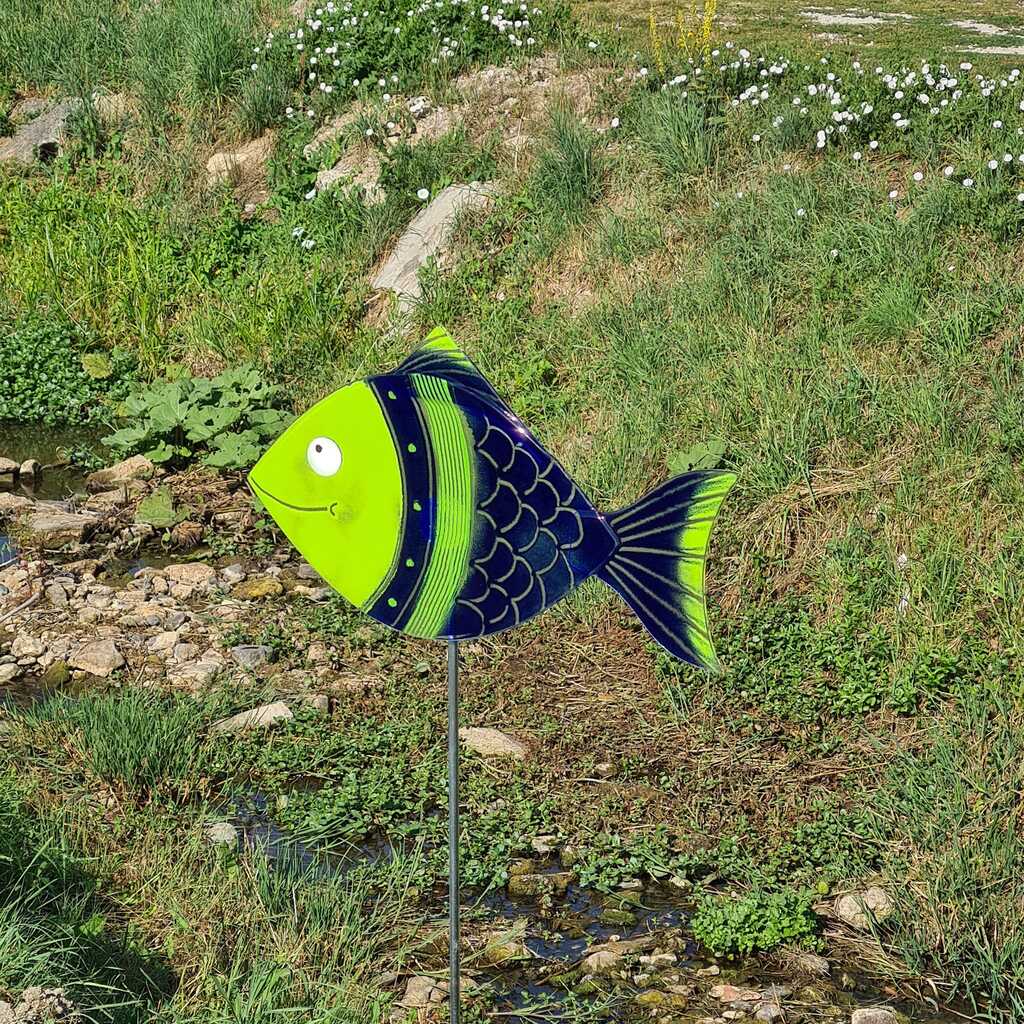 293836726_762807378505042_7082237116342371263_n.jpg