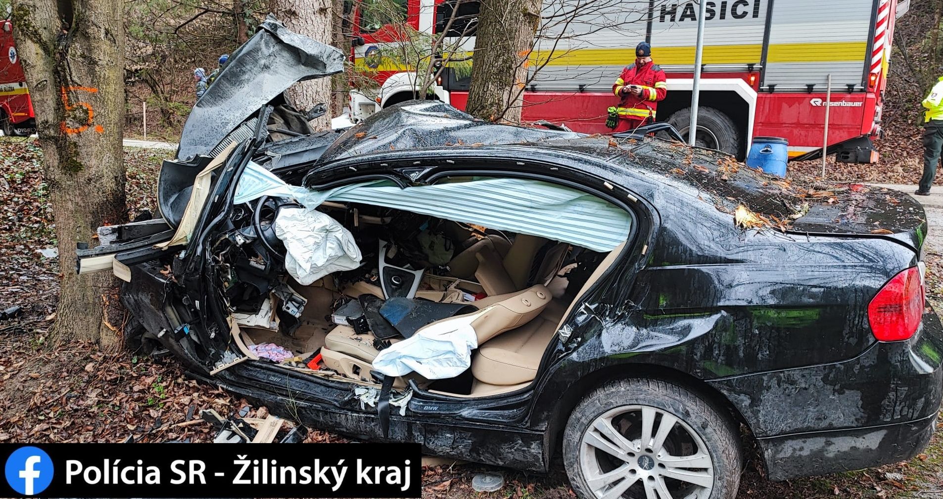 2 foto.jpg