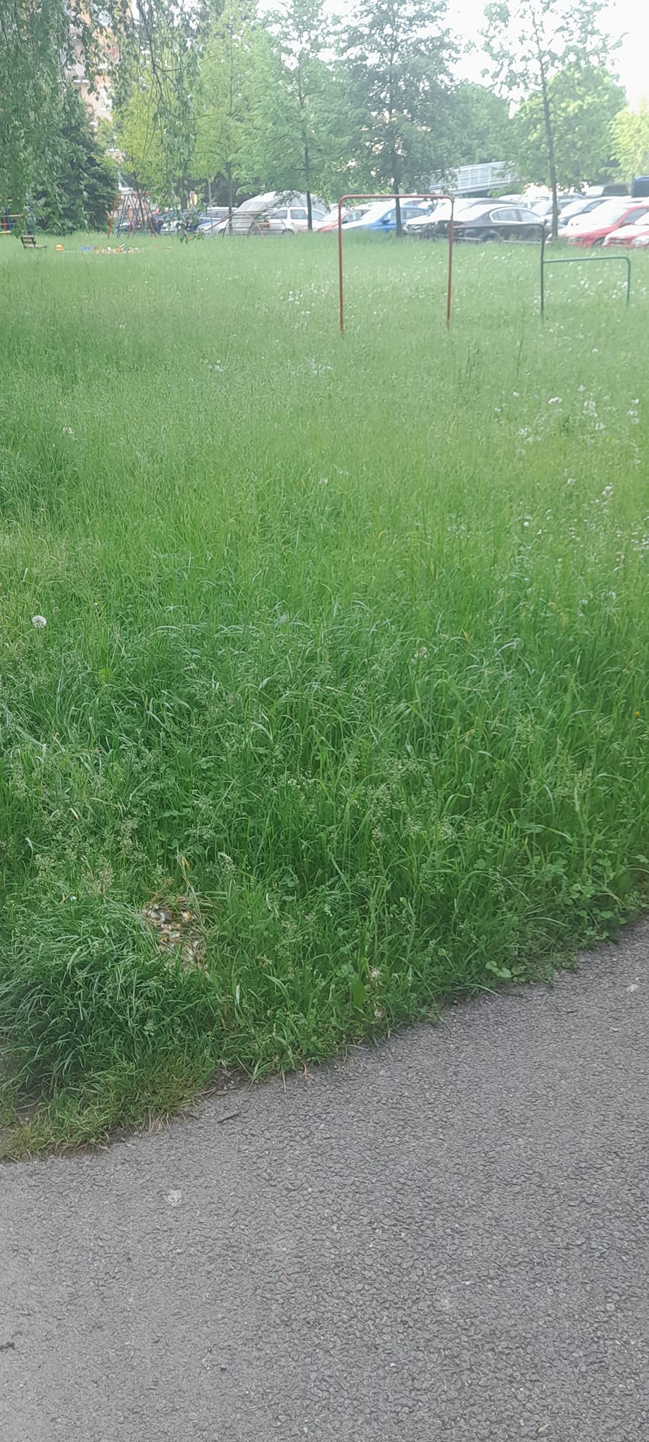 348846157_778367727129878_5368202567323487900_n.jpg