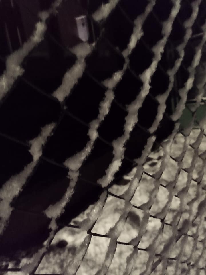407280072_674550104808701_8199200403083077150_n.jpg