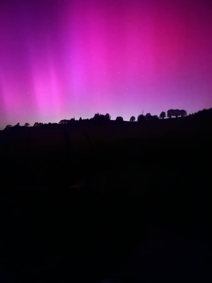 441868012_7830245580327894_3520934579297604739_n.jpg