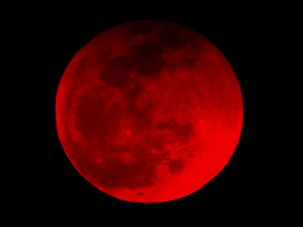 541190253_1483531846175551_2575477397824969519_n_1ce5baf7f3.png