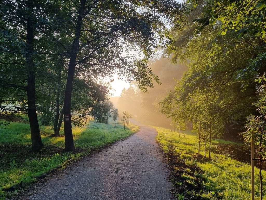 545676668_1247844300689442_2046816265080011342_n (1).jpg