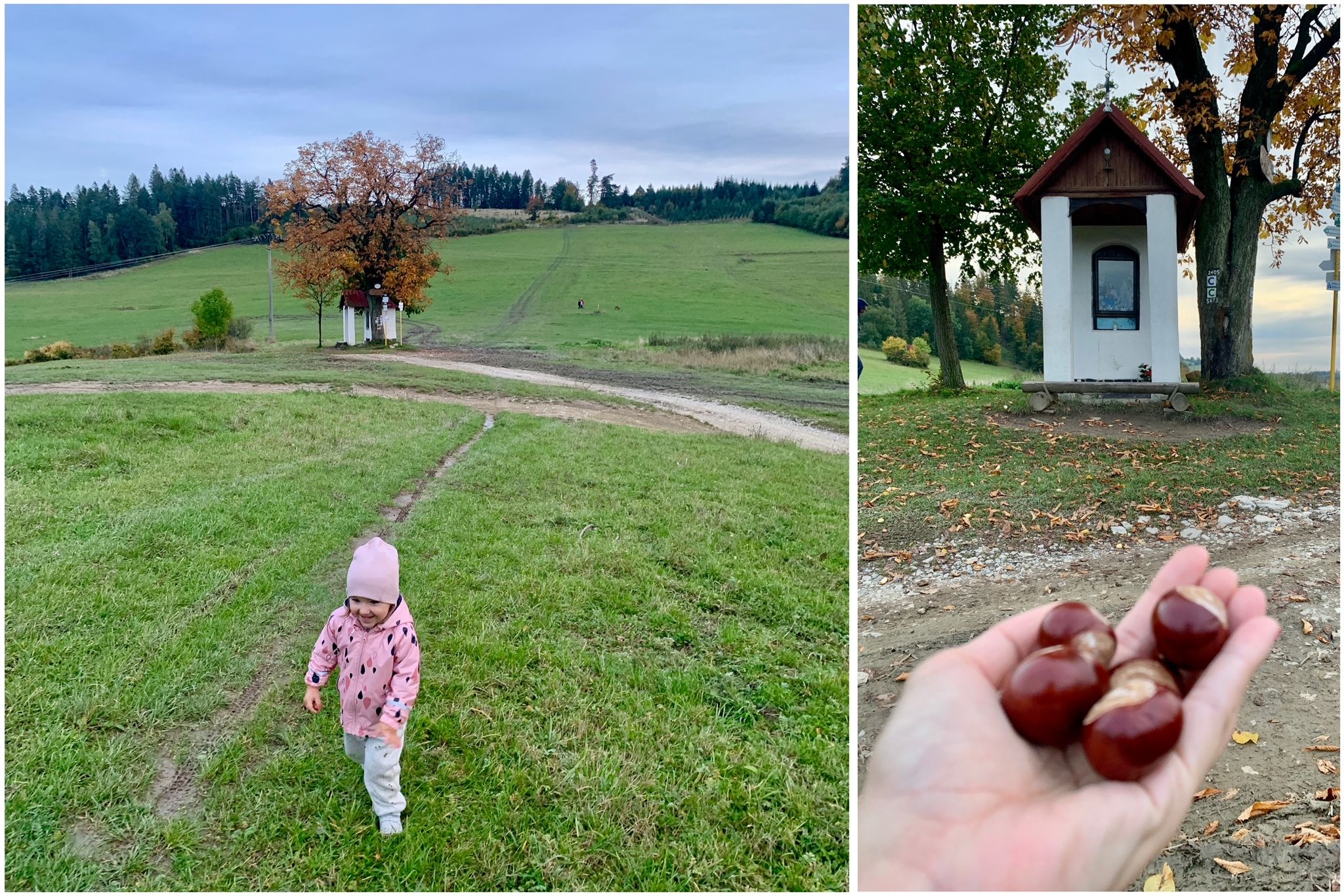 Môžete si všimnúť, že naše snímky pochádzajú z rôznych ročných období. Kaplnku sme navštívili už niekoľkokrát a veľký zážitok sme mali na jeseň, kedy gaštan zhodil úrodu. Zdroj: zilina.sp21.sk