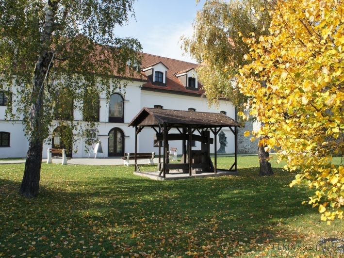 7- muzeumlevice.sk.jpg