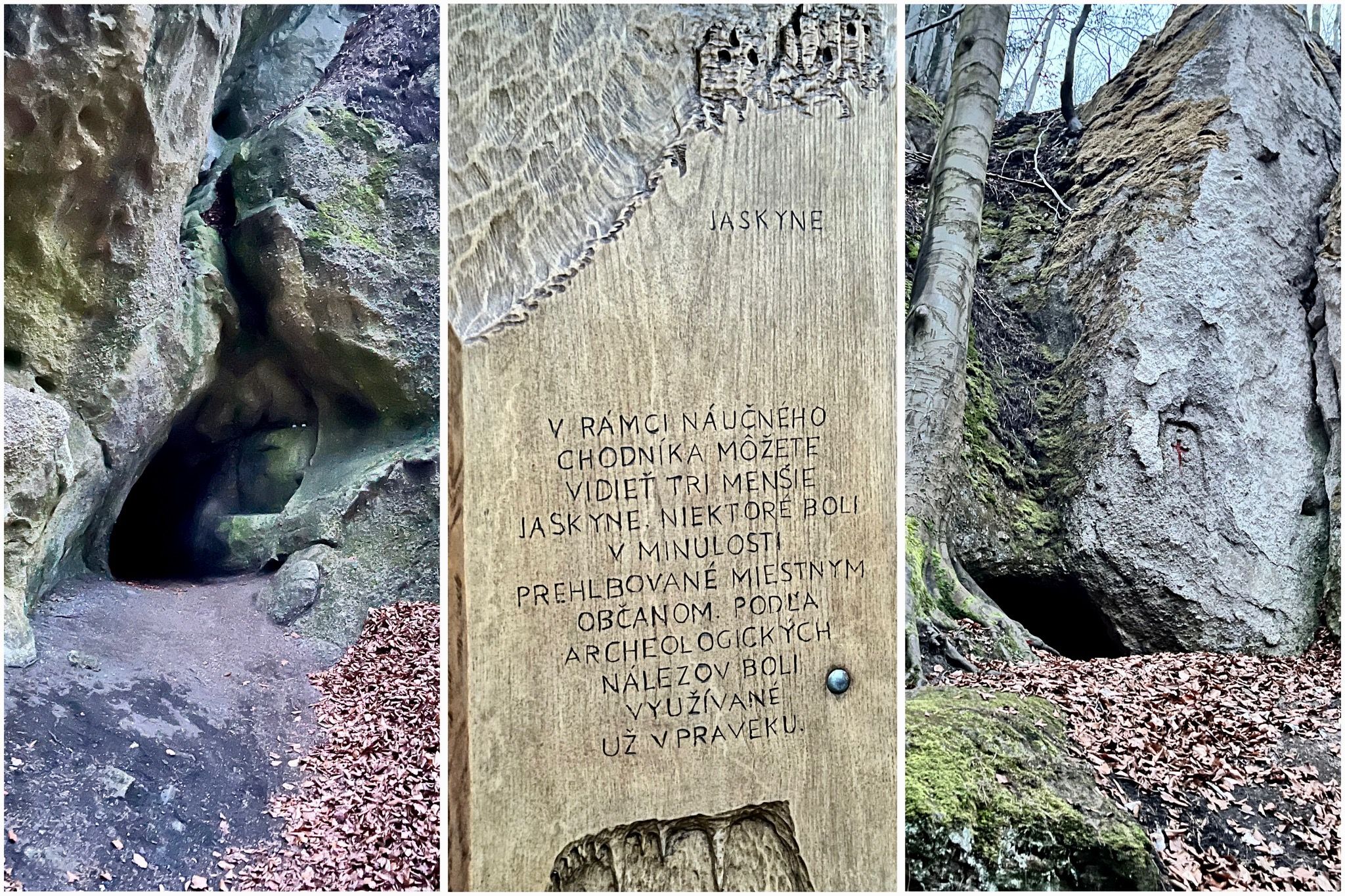 Ak budete postupovať ďalej po náučnom chodníku, privedie vás k trom menším jaskyniam, ktoré sa nachádzajú priamo pod hradom. Sú vzácnymi archeologickými náleziskami. Zdroj: Michala Staníková
