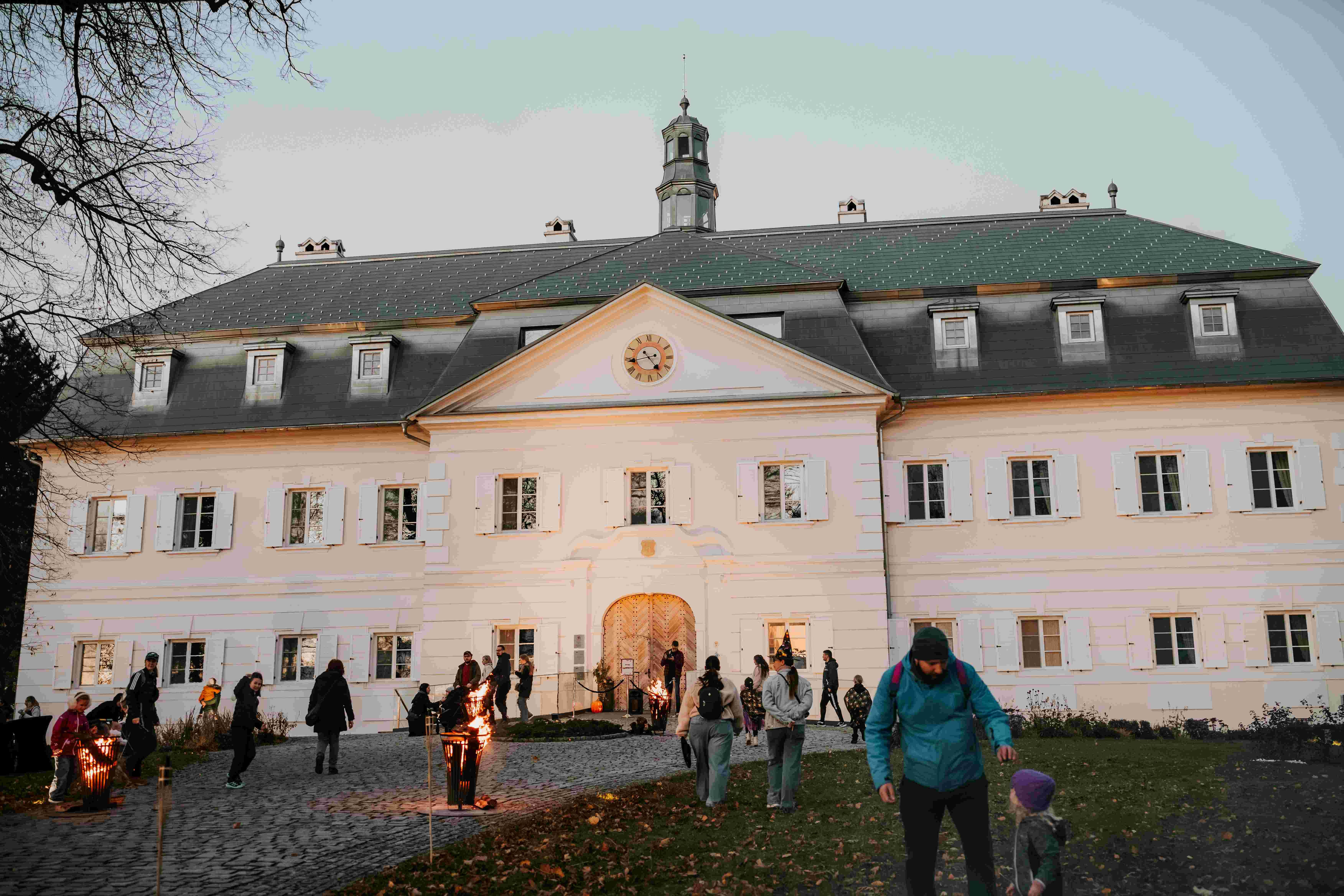 A7403700.jpg