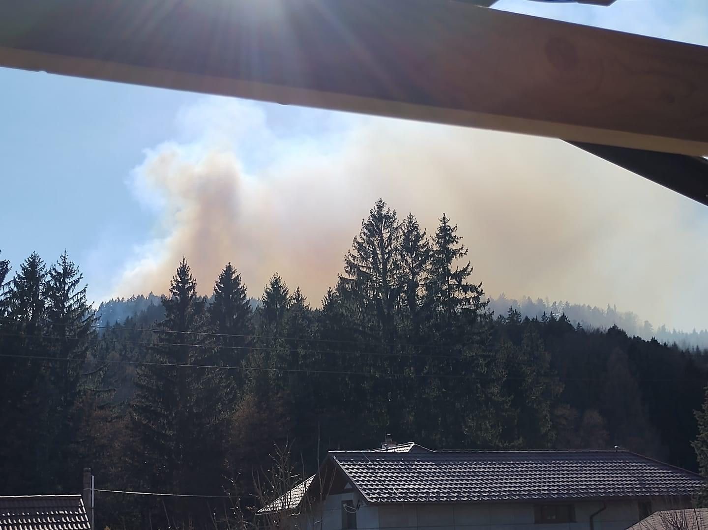 Autor Miroslava Korbeľová.JPG