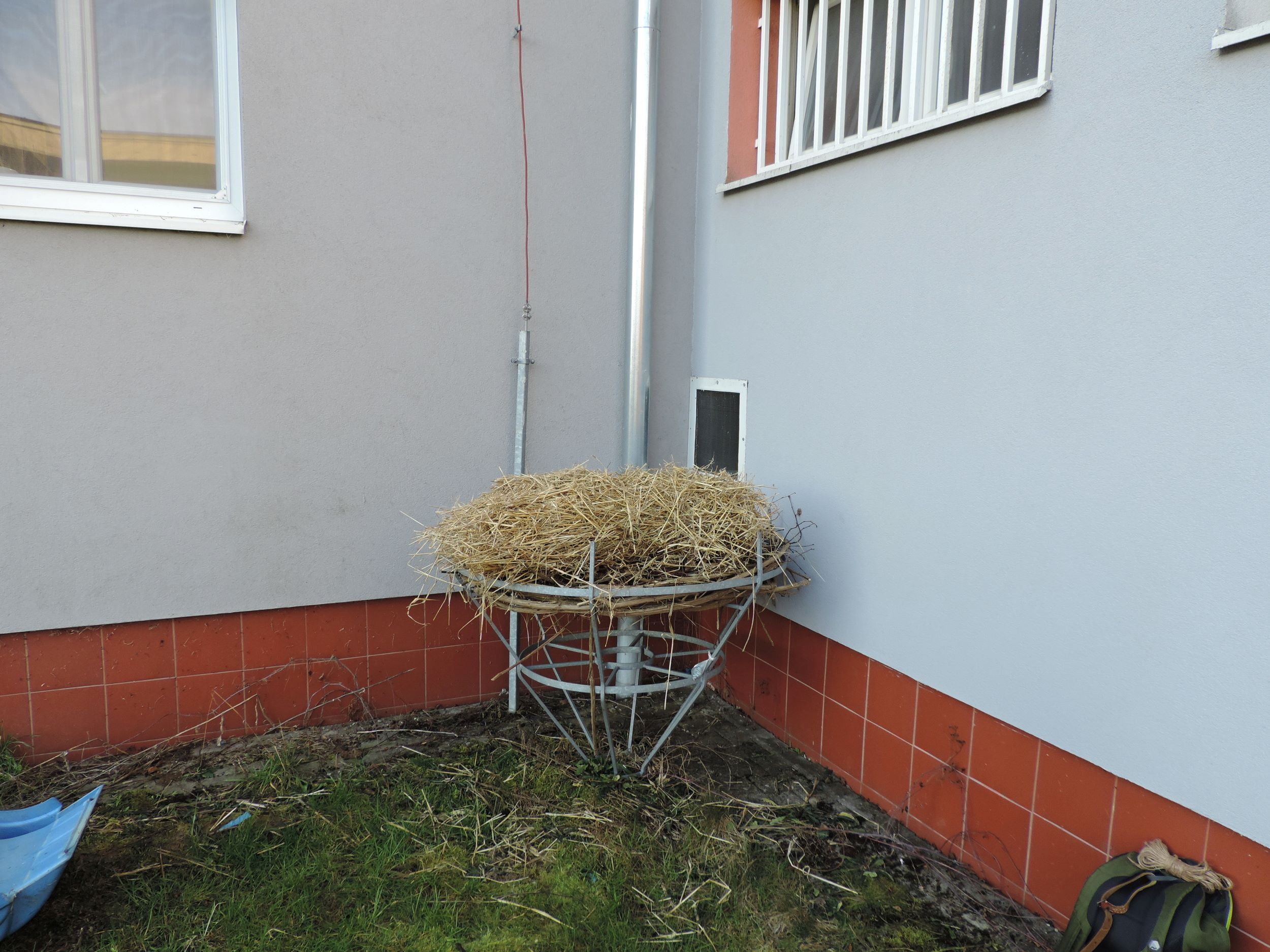 DSCN3975.jpg