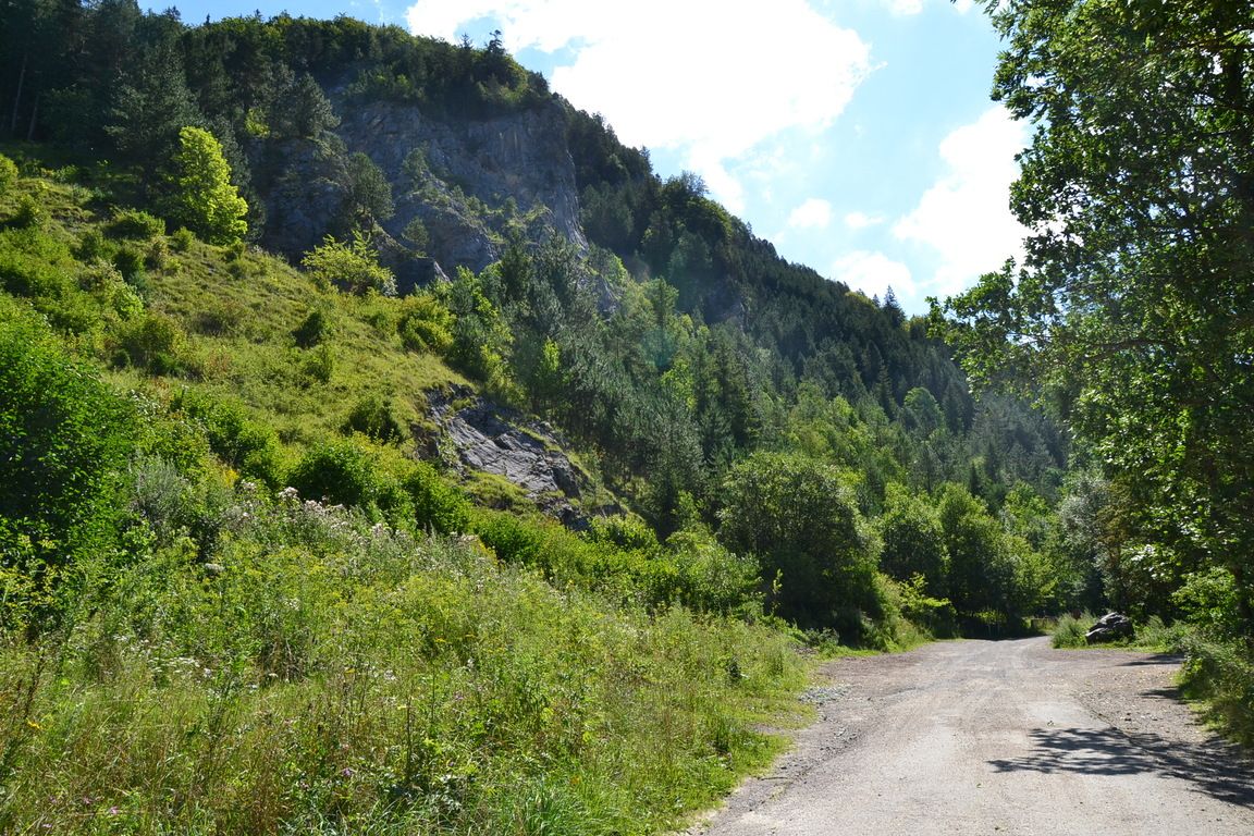DSC_0001.jpg