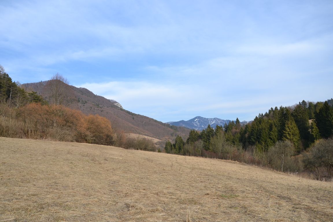 DSC_0003.jpg