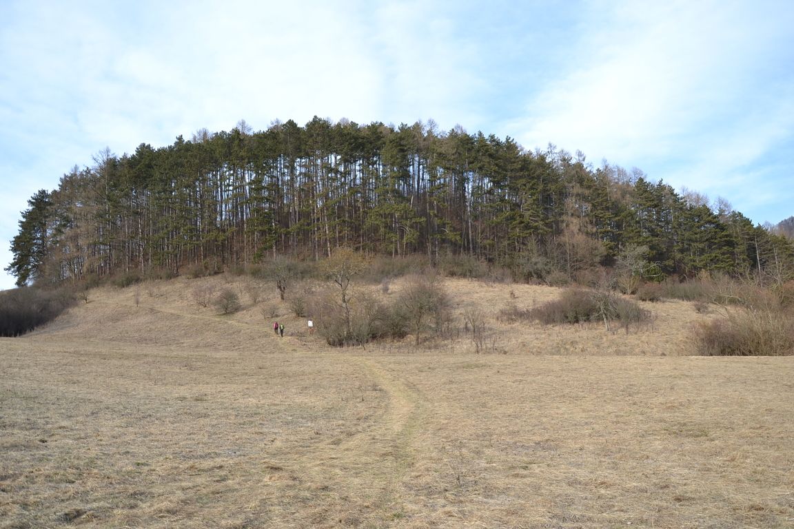 DSC_0004.jpg