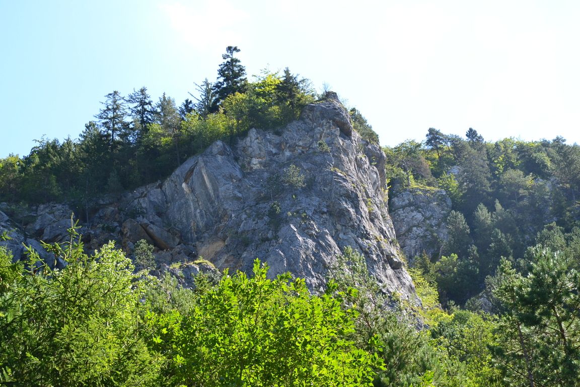 DSC_0005.jpg