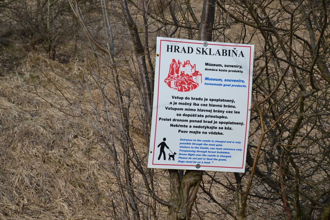 DSC_0005.jpg