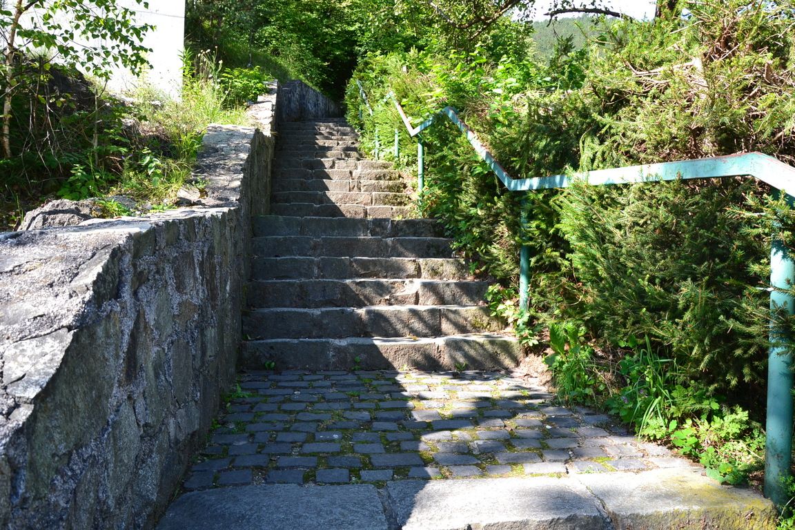 DSC_0005.jpg