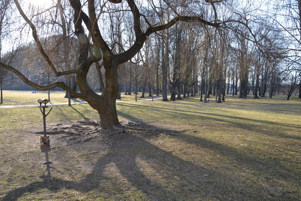 DSC_0006.jpg