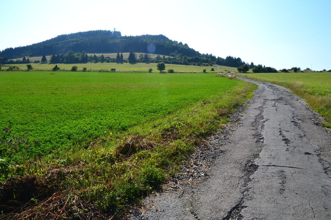DSC_0006.jpg