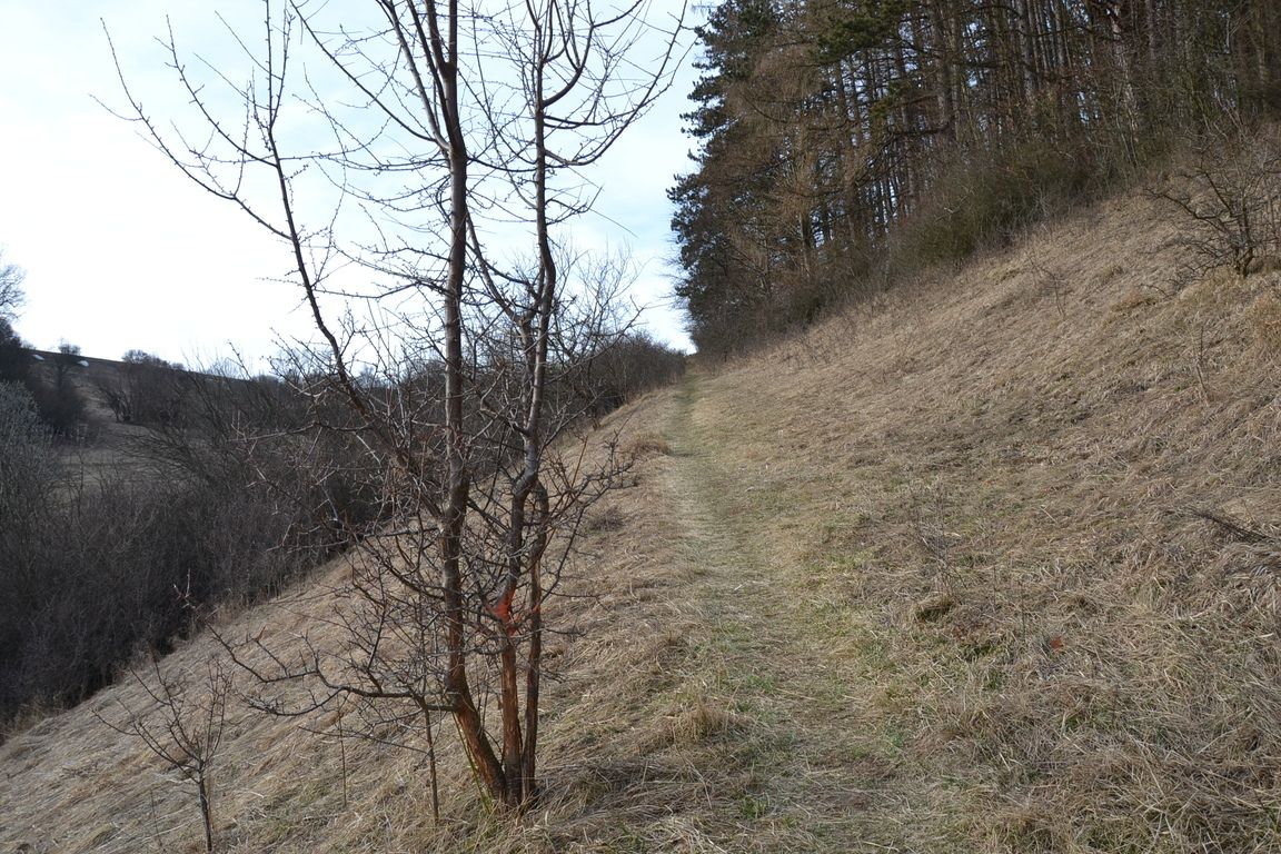DSC_0006.jpg