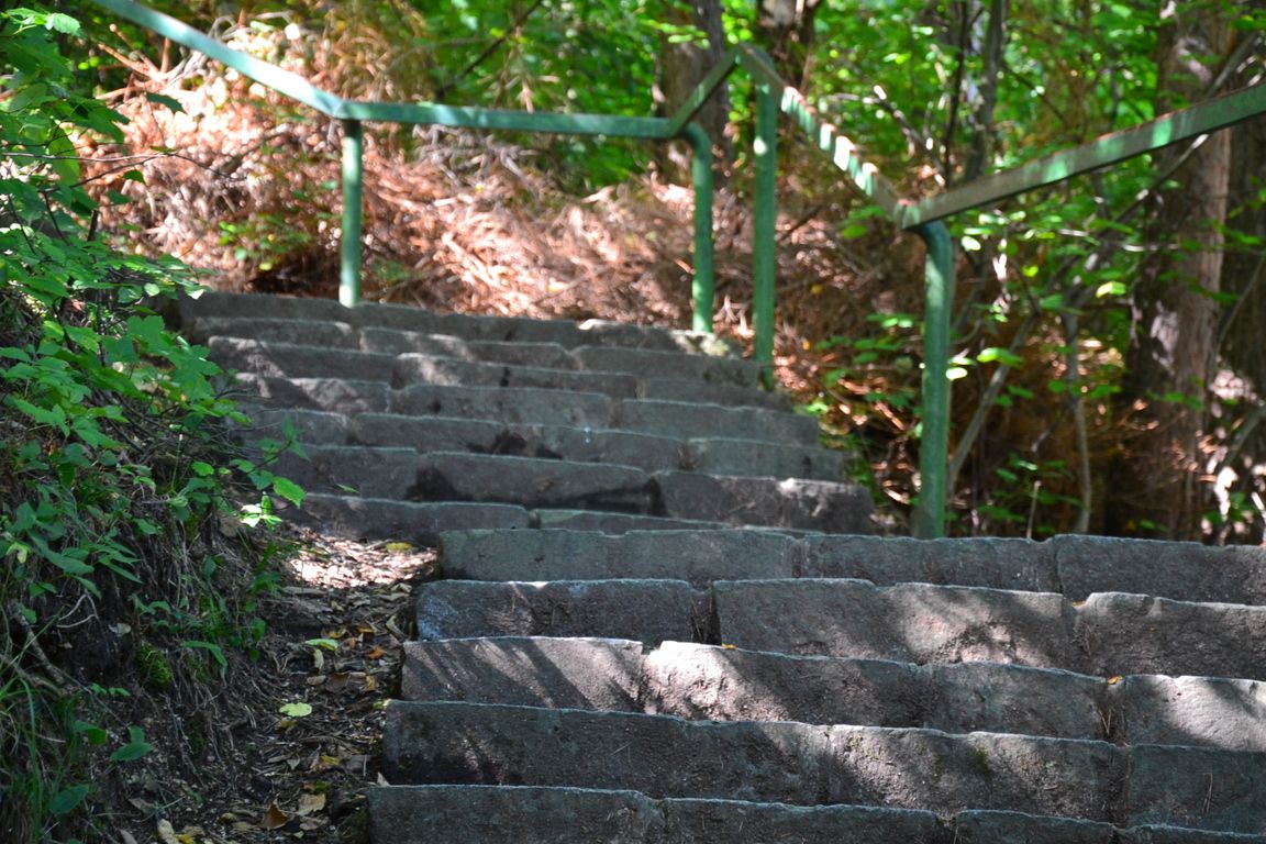 DSC_0007.jpg