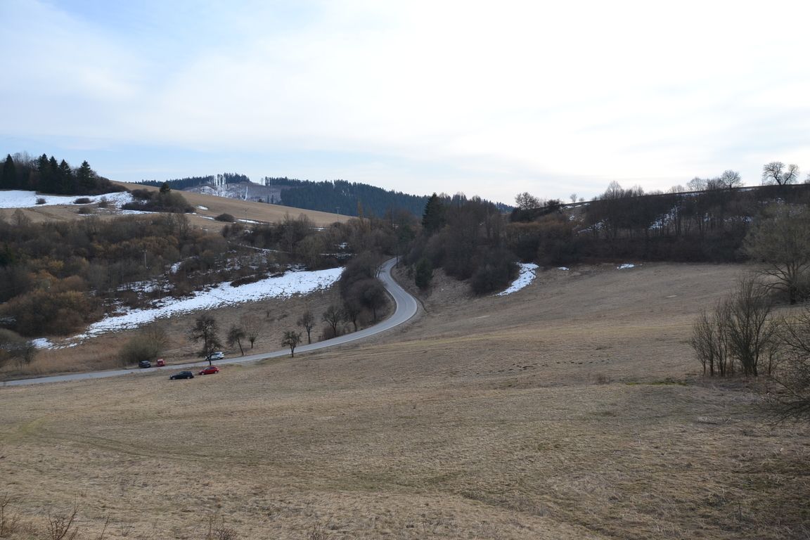 DSC_0007.jpg