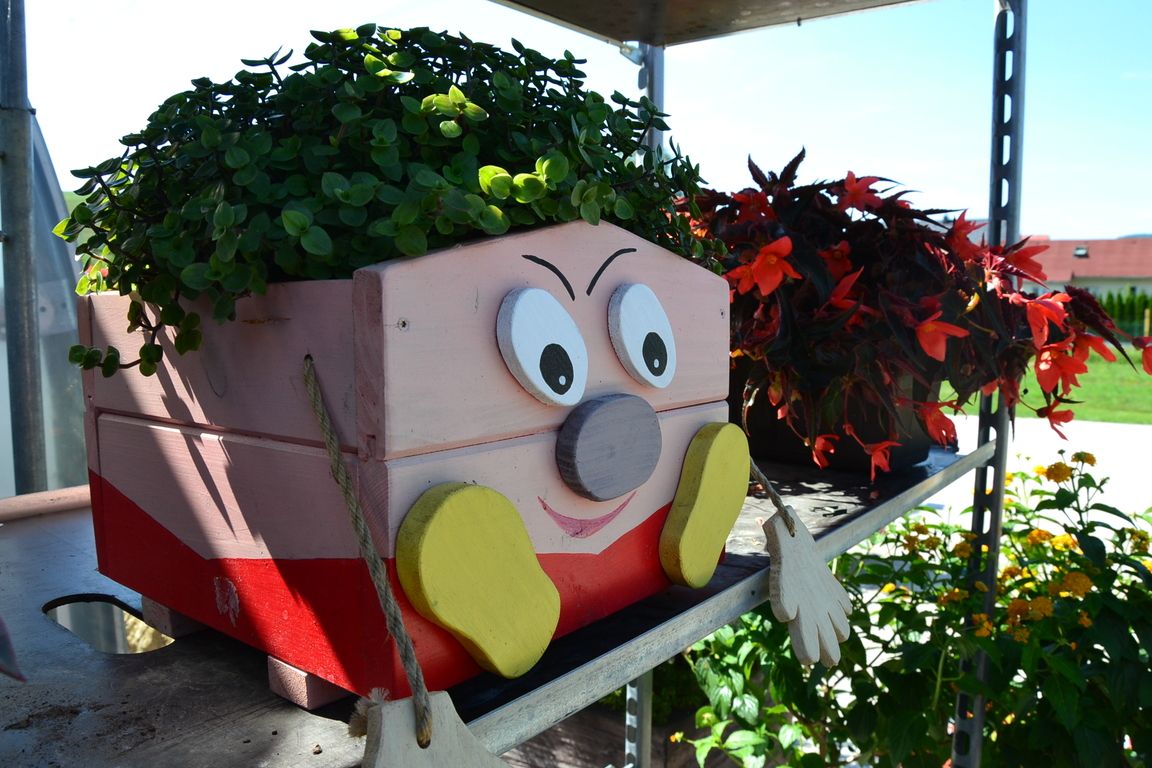 DSC_0007.jpg