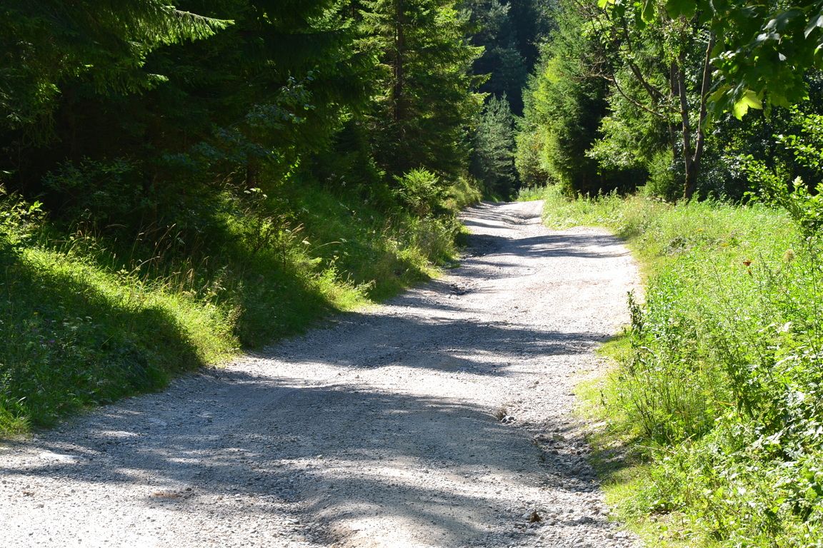 DSC_0007.jpg