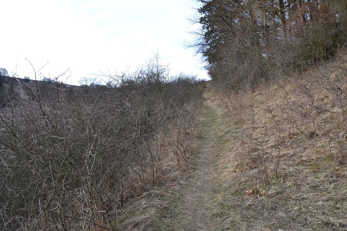 DSC_0008.jpg