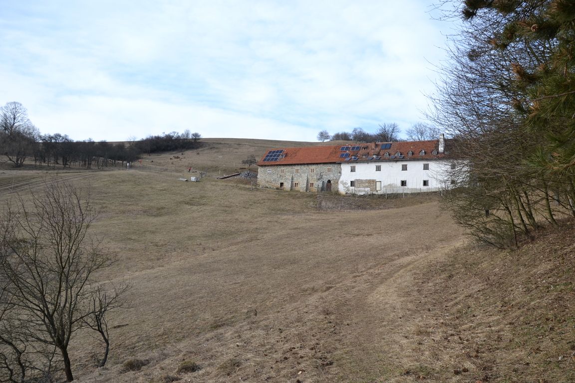 DSC_0009.jpg