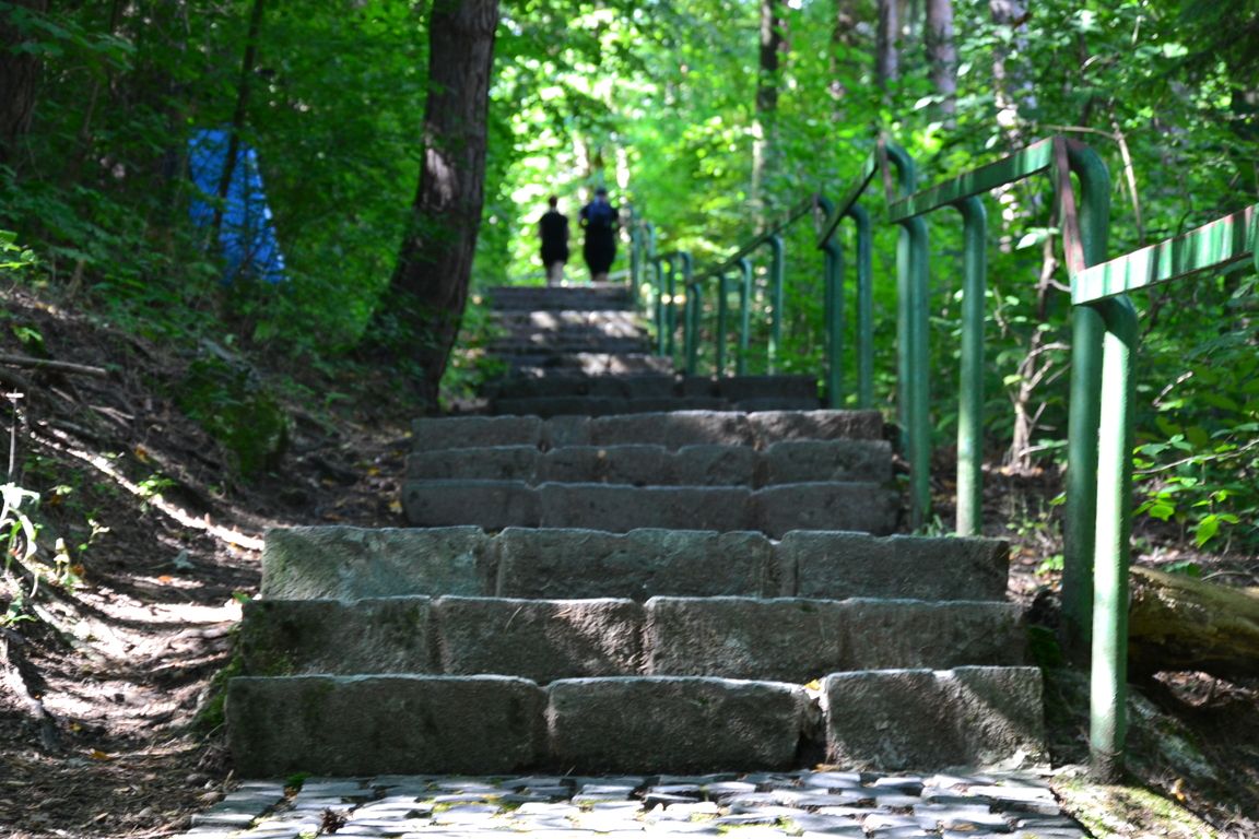 DSC_0009.jpg
