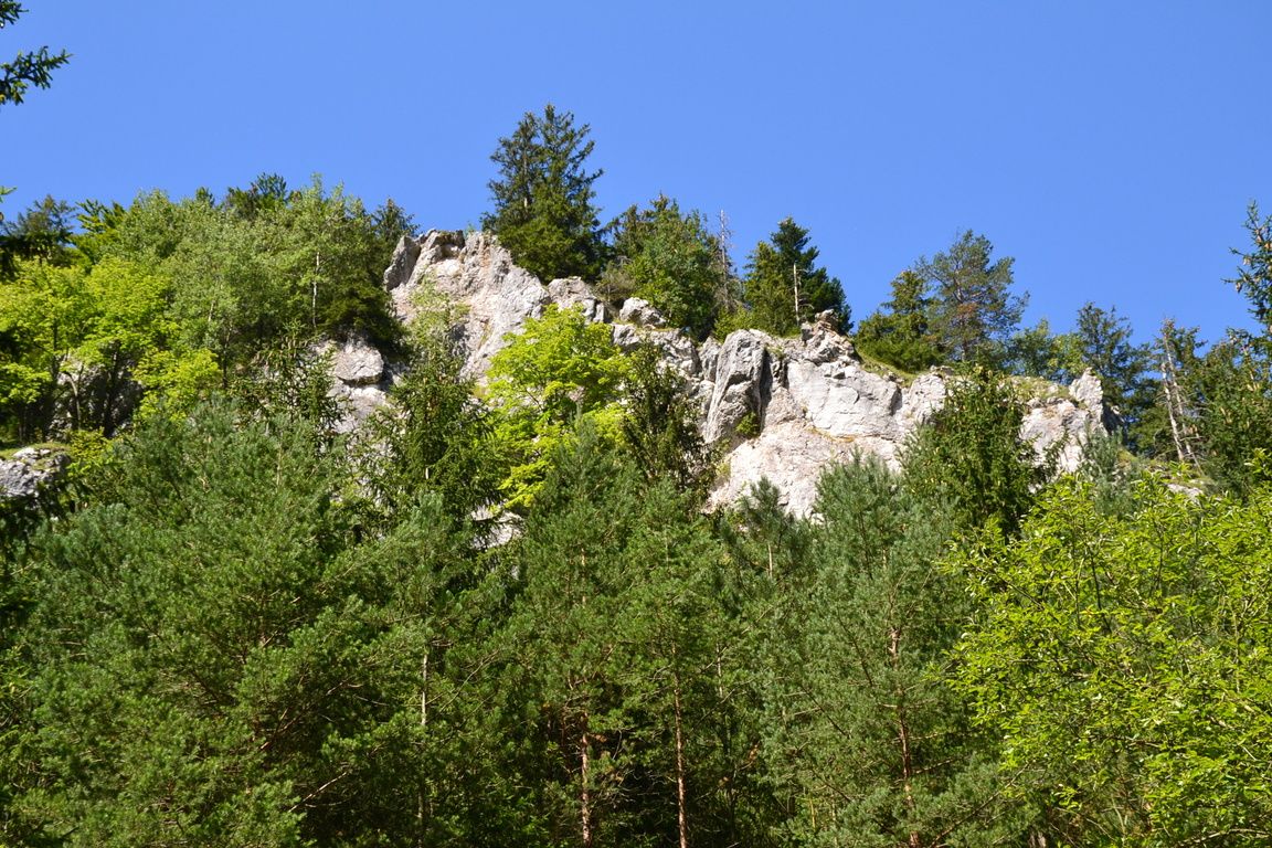 DSC_0009.jpg