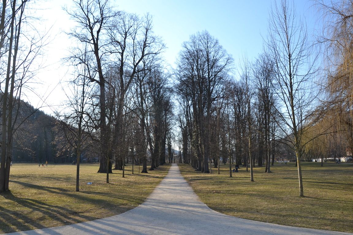 DSC_0010.jpg