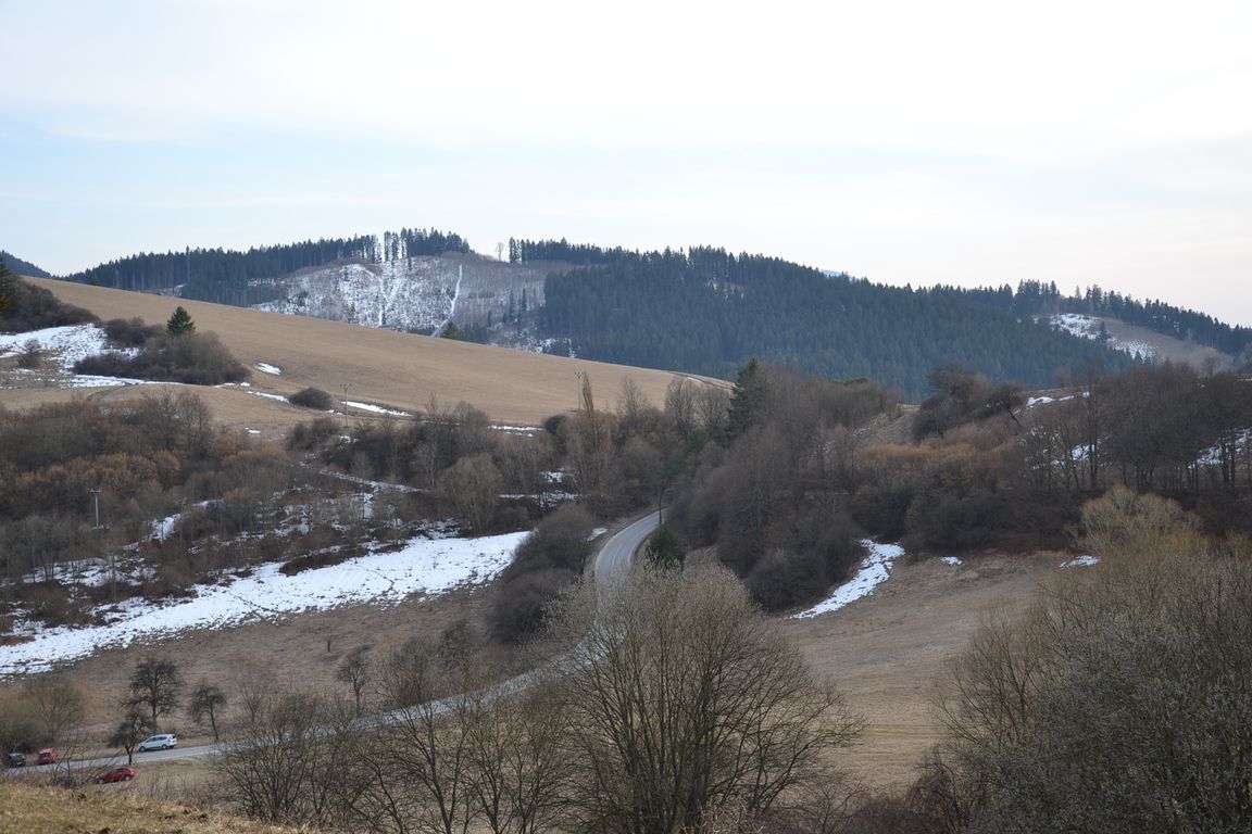 DSC_0010.jpg
