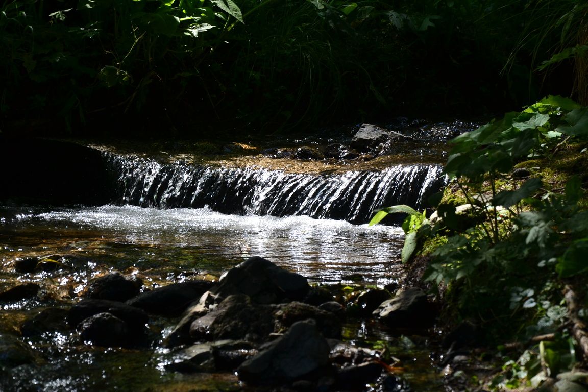 DSC_0011.jpg