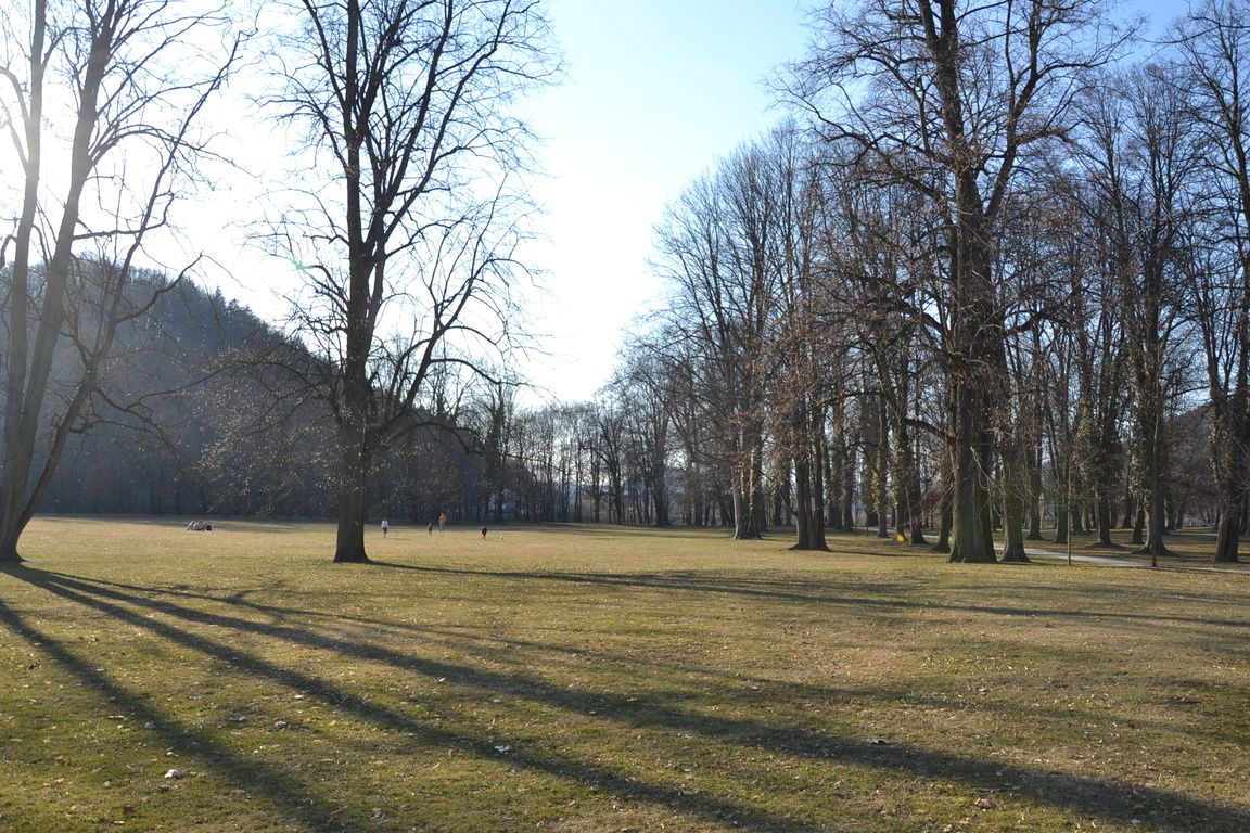DSC_0012.jpg