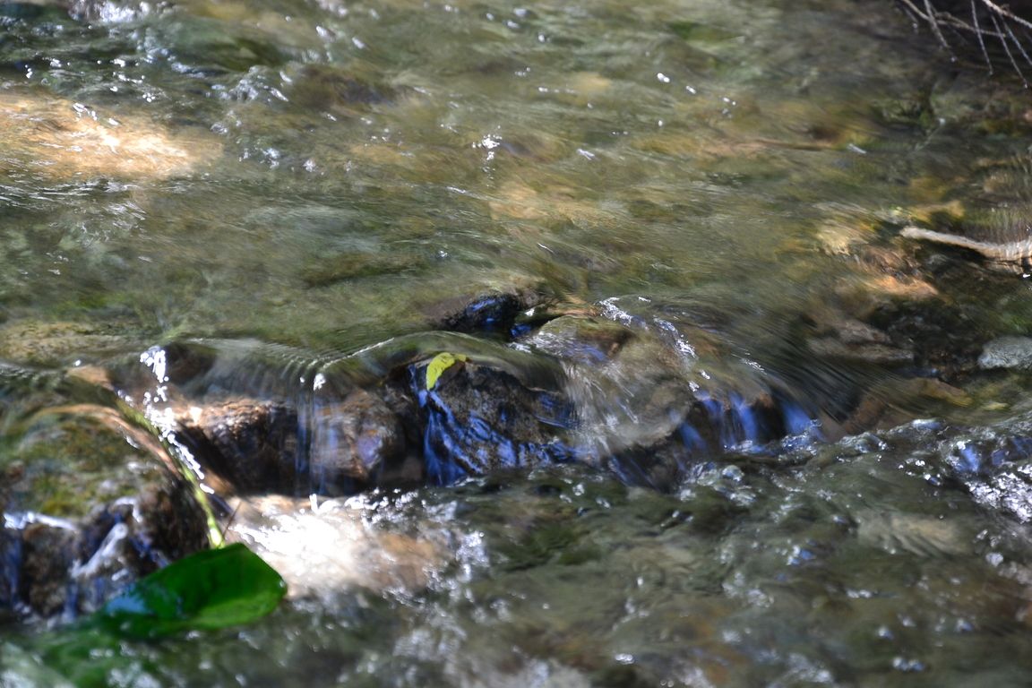 DSC_0012.jpg