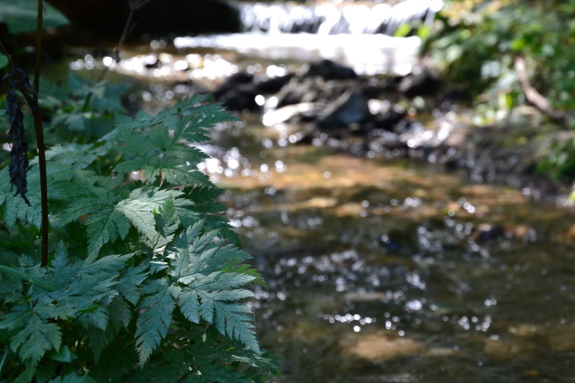 DSC_0013.jpg