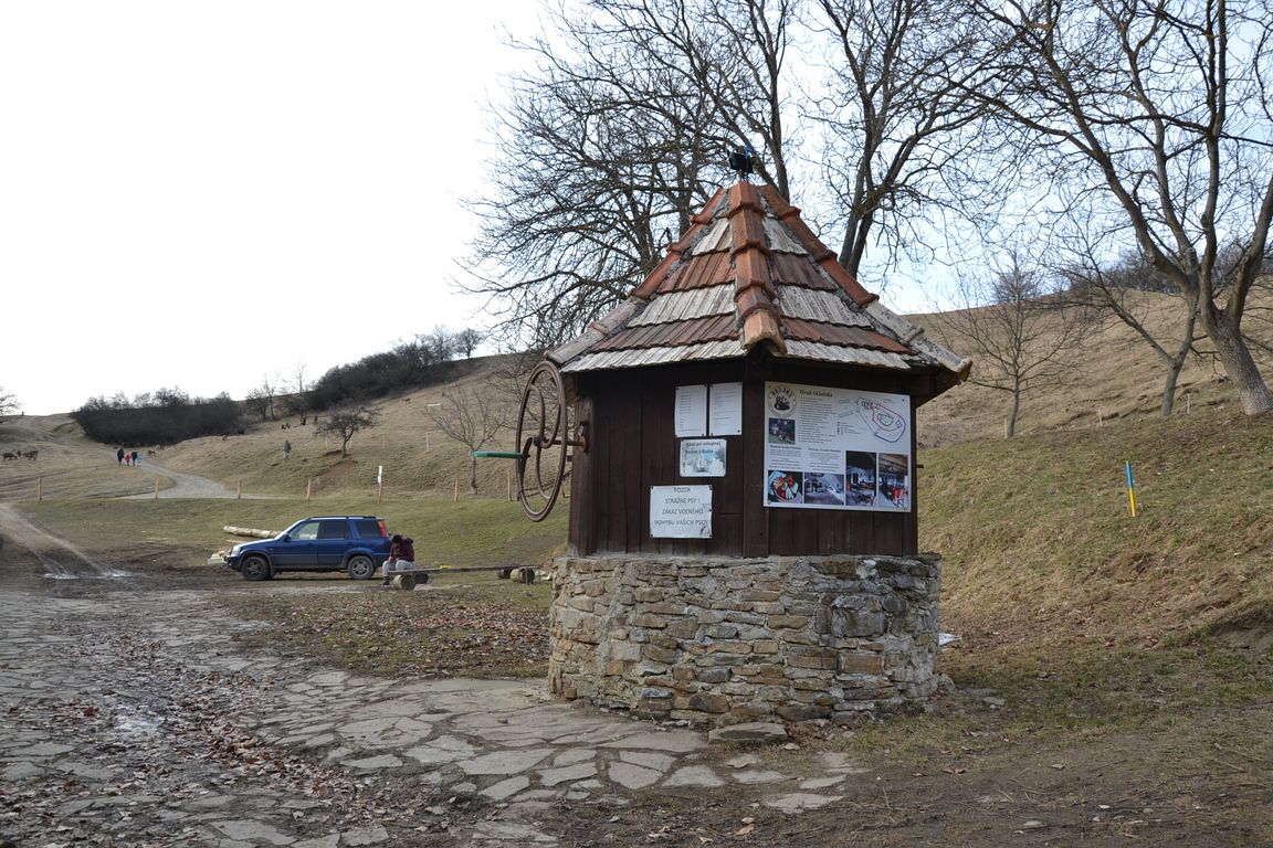DSC_0013.jpg